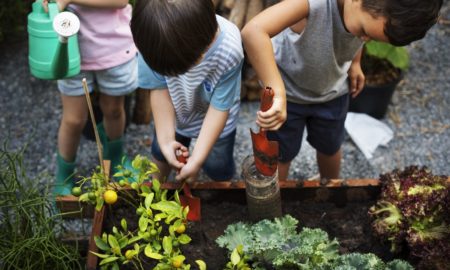 K-12 youth educational garden grants, children gardening