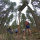 COVID Camp guidelines: Campers waering shorts, t-shirts and daypacksstand amidst tall trees