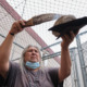 Native American rituals: Native American relder man with long gray hair ho,ding plate of smoking dage and using eagle feather to disperse the smoke