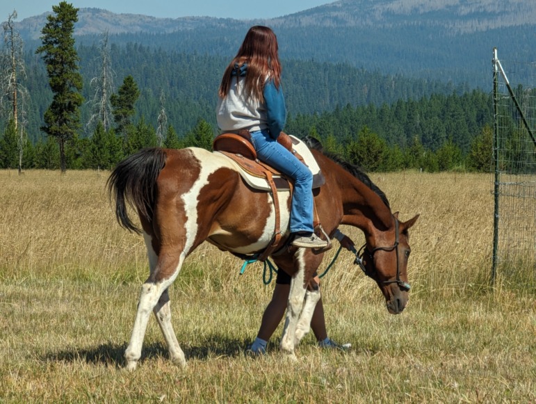 Healing Children of Horse Nations: 