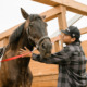 Healing Children of Horse Nations: Young man with dark hair, wearing black baseball cap and dark plaid shirt stands next to brown horse petting its neck.