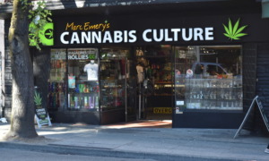 Cannabis dispensary near schools: Cannabis dispensary storefront wit sign, "Cannabis Culture" in white text on black next to image of green marijuana leaf