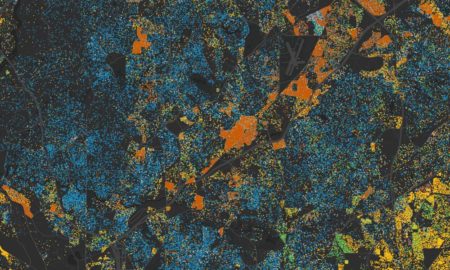 racially unequal school boundaries in US public school system report: map of different ethnic boundaries and districts in city